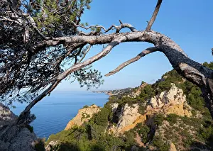 Randonnèe: Sentier des Douaniers, Cote Bleue, Provence, France