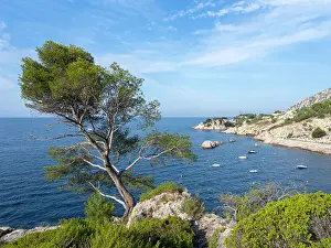 Randonnèe: Sentier des Douaniers, Cote Bleue, Provence, France