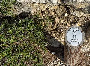 Randonnèe: Sentier des Douaniers, Cote Bleue, Provence, France