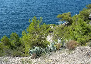 Littoral: Sentier des Douaniers, Cote Bleue, Provence, France