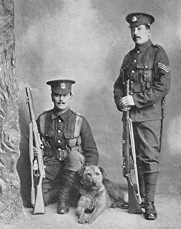 Airedale: A sentry dog with the Norfolk regiment