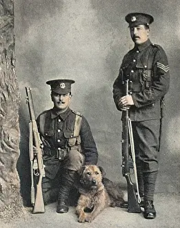 Airedale: A sentry dog with the Norfolk regiment
