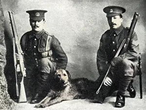 Lucinda Gosling Collection: Sentry dog, WW1