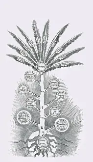 Attributes: Sephirothic Tree