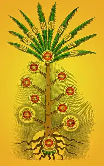 Attributes: Sephirothic Tree