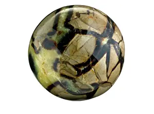 Nodule: Septarian nodule
