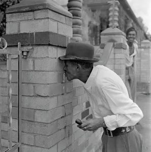 Maintains: September 1952 - What Dagga addicts say about the weed