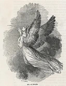 Concepts: A SERAPH