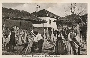 Hemp: Serbian Hemp workers