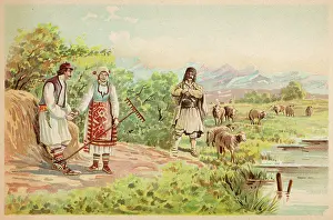 Flocks: SERBIAN SHEPHERDS