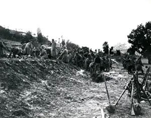 Defences: Serbian troops constructing defences, WW1