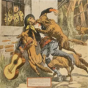Ferrol: SERENADER AND WOLVES