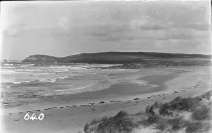 Seaweed: Serene Beach Landscape