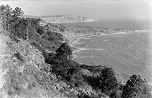 Terrain: Serene Coastal Landscape
