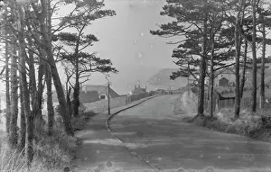 Curve: Serene Coastal Road