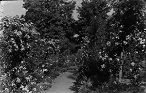 Inviting: Serene Garden Path