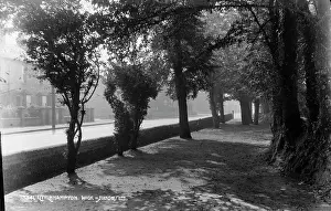 Littlehampton: A Serene Pathway in Littlehampton