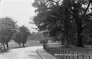 Walmer: A Serene Pathway in Walmer
