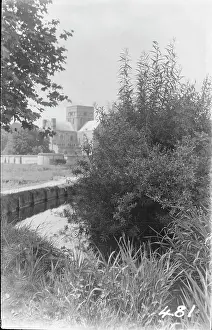 Riverbank: Serene Waterside Scene