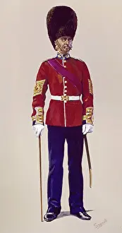 Malcolm Greensmith Collection: Sergeant Major - Grenadier Guards