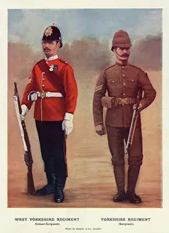 Sleeve: Sergeants, West Yorkshire Regiment, Yorkshire Regiment