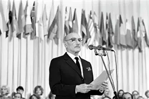 Sentsov: Sergei Gerasimov, 1985