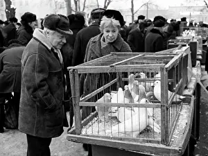 Doves: Sergei Obraztsov, 1976
