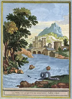 Crawls: Serpent by River