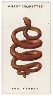 Emblematic: SERPENT TALISMAN