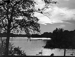 Eventide: SERPENTINE AT EVENTIDE
