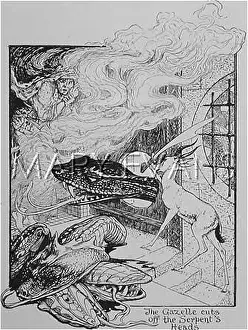 Swahili: THE SERPENTS & GAZELLE
