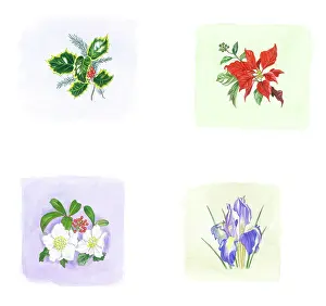 Tags: Set of four Christmas Plant gift tags