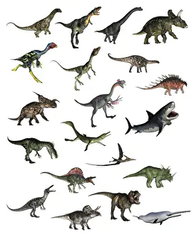 Ceratopsian: Set of dinosaurs