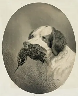 Setter: The setter of duty