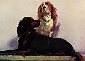 Reclining: Two Setters