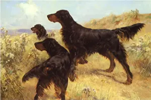 Anticipation: Setters on Point