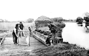 Charlecote: Setting the Eel nets at Charlecote Mill c1890