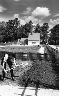 Horticultural: Settlement near Dresden, 1937