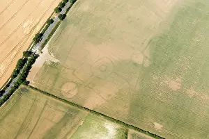Cropmark: Settringham, North Yorkshire