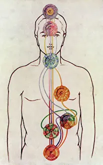 Connections: Seven Chakras and Streams of Vitality