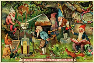 Colberg: The Seven Dwarfs