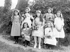 Bows: Seven sisters in a garden, Mid Wales