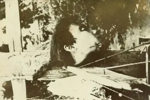 Gory: Severed head