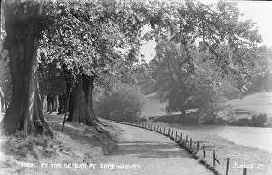 Riverbank: By the Severn at Shrewsbury