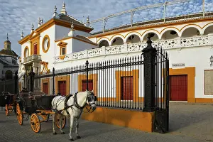 Toros: Seville