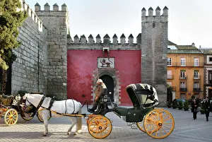 Sevillan: Seville