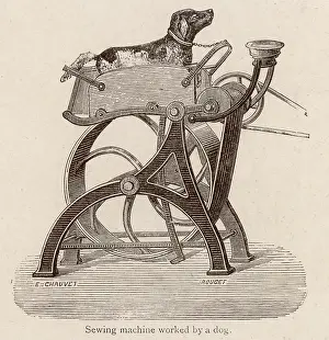 Kindly: SEWING MACHINE DOG POWER