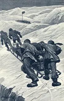Sledging: SHACKLETON/SLEDGING/1908