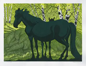 Ponies: In the Shade