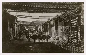 Souk: Shaded bazaar in the Souk, Fez (Fes), Morocco